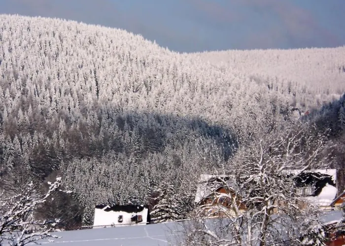 With 2 Bedrooms * Klingenthal